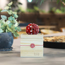 [PRESERVED FLOWER] CHAWAKA MARI RED PLUM | UJI TEA AND FLORAL DESIGN| CHAWAKA KYOTO UJI