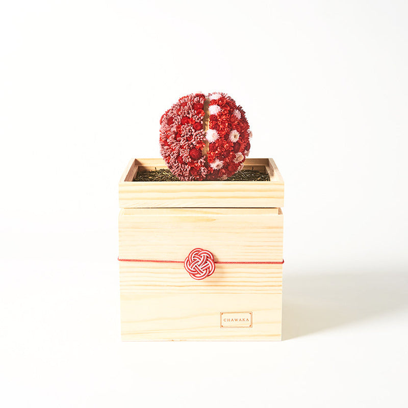 [보존 된 꽃] Chawaka Mari Red Plum | 우지 차와 꽃 디자인 | 차와 카 료토 우지