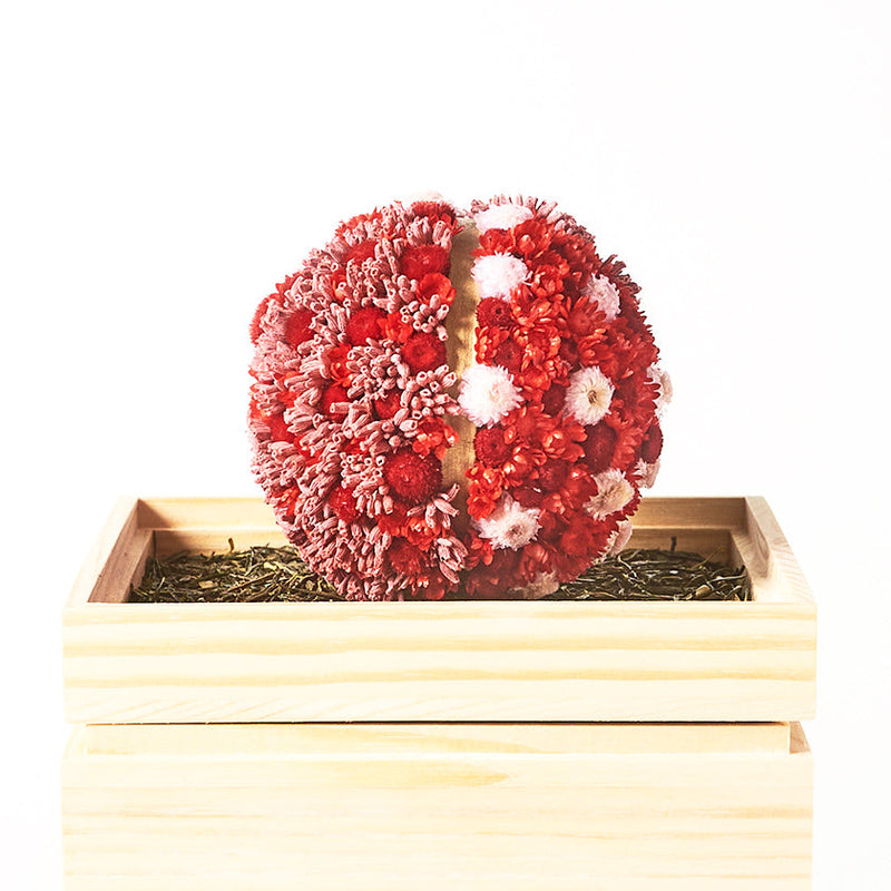 [보존 된 꽃] Chawaka Mari Red Plum | 우지 차와 꽃 디자인 | 차와 카 료토 우지