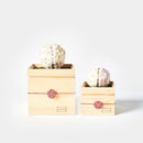 [PRESERVED FLOWER] CHAWAKA MARI WHITE PLUM | UJI TEA AND FLORAL DESIGN| CHAWAKA KYOTO UJI