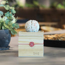 [PRESERVED FLOWER] CHAWAKA MARI WHITE PLUM | UJI TEA AND FLORAL DESIGN| CHAWAKA KYOTO UJI