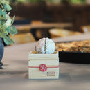 [PRESERVED FLOWER] CHAWAKA MARI WHITE PLUM | UJI TEA AND FLORAL DESIGN| CHAWAKA KYOTO UJI