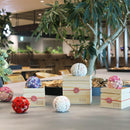 [PRESERVED FLOWER] CHAWAKA MARI WHITE PLUM | UJI TEA AND FLORAL DESIGN| CHAWAKA KYOTO UJI