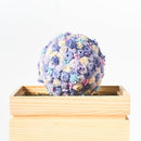 [PRESERVED FLOWER] CHAWAKA MARI KYO-NO SHIZUKU LIGHT BLUE | UJI TEA AND FLORAL DESIGN| CHAWAKA KYOTO UJI