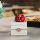 [GIFT SET] CHAWAKA MARI AND SENCHA SET RED PLUM | UJI TEA AND FLORAL DESIGN| CHAWAKA KYOTO UJI