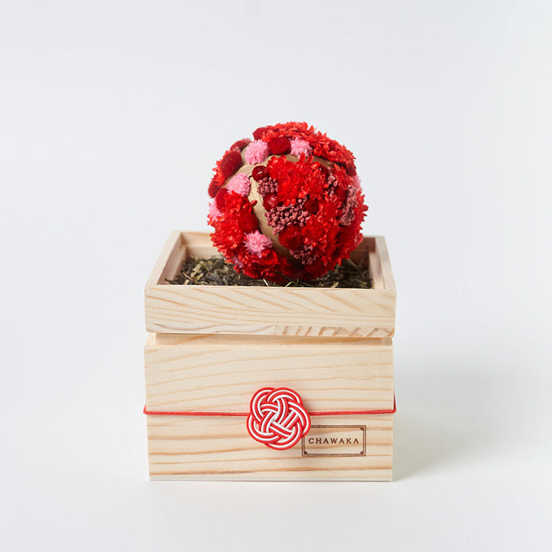 [ชุดของขวัญ] Mari และ Sencha ของ Chawaka Set Red Plum | ชา UJI และการออกแบบดอกไม้ | Chawaka Kyoto Uji