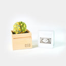 [GIFT SET] CHAWAKA MARI AND SENCHA SET TACHIBANA YELLOW | UJI TEA AND FLORAL DESIGN| CHAWAKA KYOTO UJI