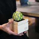 [GIFT SET] CHAWAKA MARI AND SENCHA SET TACHIBANA YELLOW | UJI TEA AND FLORAL DESIGN| CHAWAKA KYOTO UJI