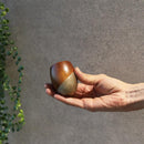 [SAKE CUP] NODOKA ZELKOVA | LACQUERWARE| U-EN ART