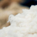 [ROOMWEAR] PREMIUM BATHROBE SUPIMA COTTON | FOO TOKYO | SEWING