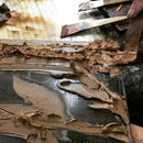 [WALL DECOR (WALL ART)] KOKEMUSU & NERIKANSHITSU LACQUER SCREEN ALL (15 POINTS) | WAJIMANURI STUDIO RAKU | WAJIMA LACQUERWARE