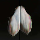 [FIGURINE] STAND MIRROR VISON-VISU_SMALL (BLACK BUTTERFLY SHELL) | SAGARADEN・NOMURA | RADEN