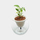 [VASE] AUTOMATIC WATER SUPPLY TYPE PLANTER SUISUI -SUI- + ROUND GLASS SET | KYU-EMON | IMARI-ARITA WARES