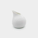 [SAKE BOTTLE] POURING SAKE SET | SHINICHIRO YAMADA | MINO WARES